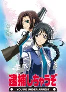 Постер Вы арестованы!